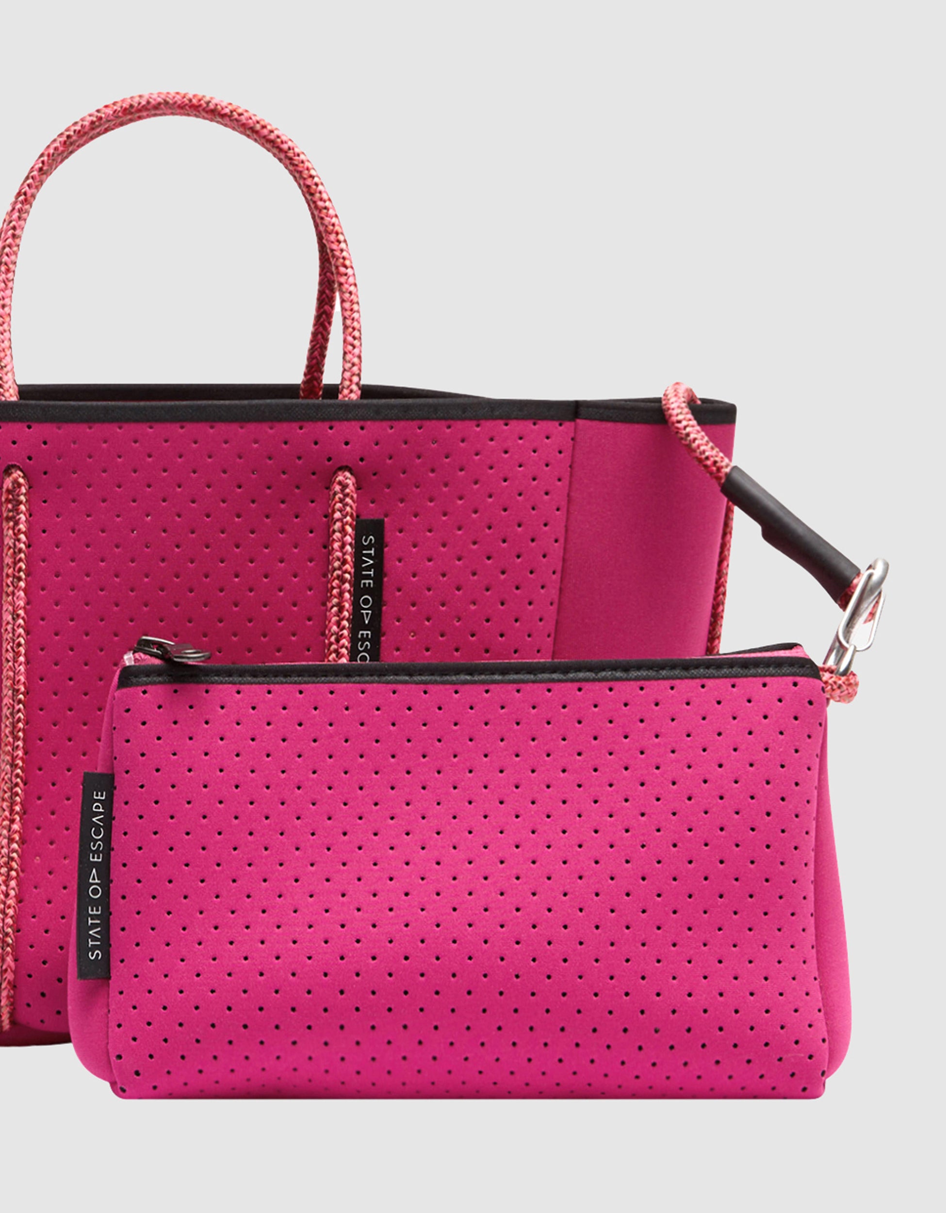 Blush Perforated Leather Petit Tote