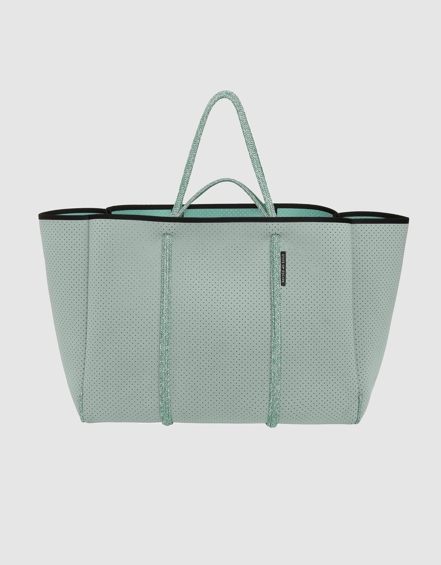 Odyssey tote in palladian blue mint State of Escape